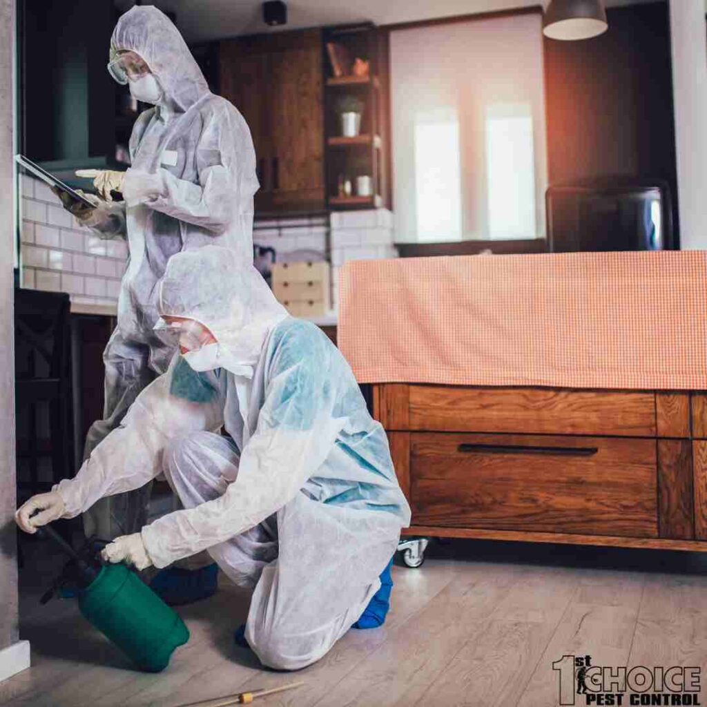 The Role of Pest Control in Maintaining a Healthy Home Environment