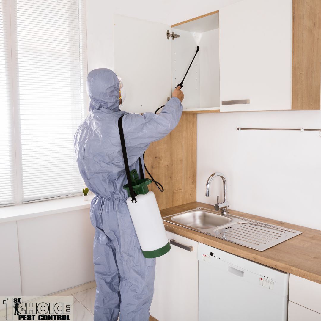 Regular Pest Inspections