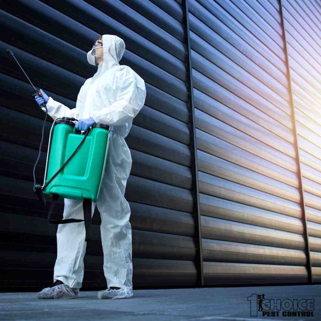 Pest Control | Pest Removal | Exterminator | 1st Choice Pest