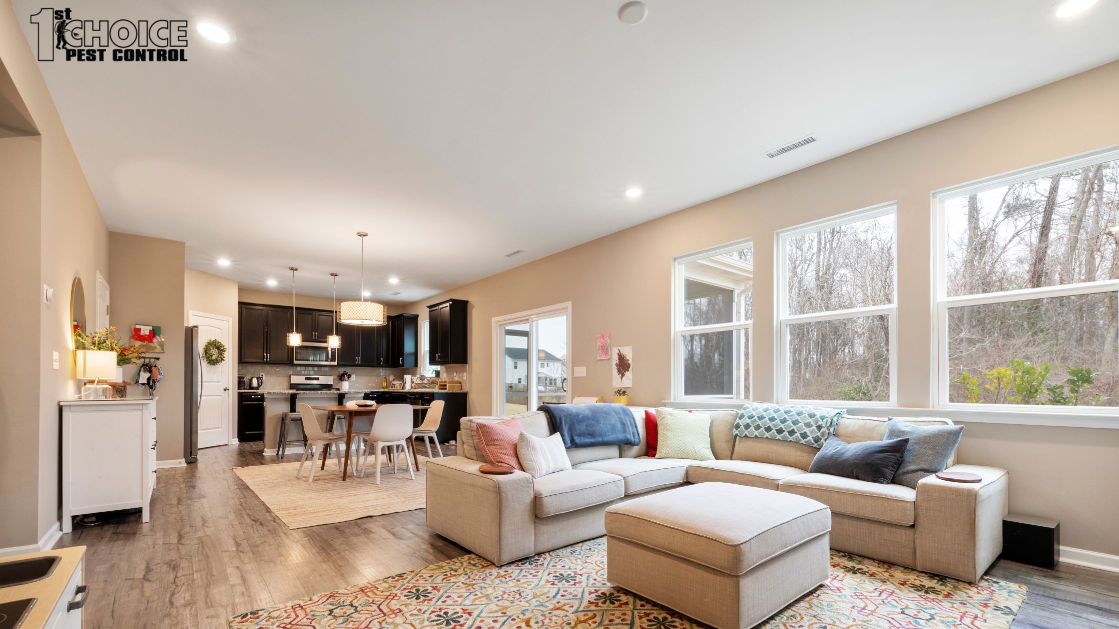 How Pests Impact Your Home’s Value and Health